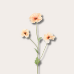 Zijden bloem - Klaproos - licht oranje