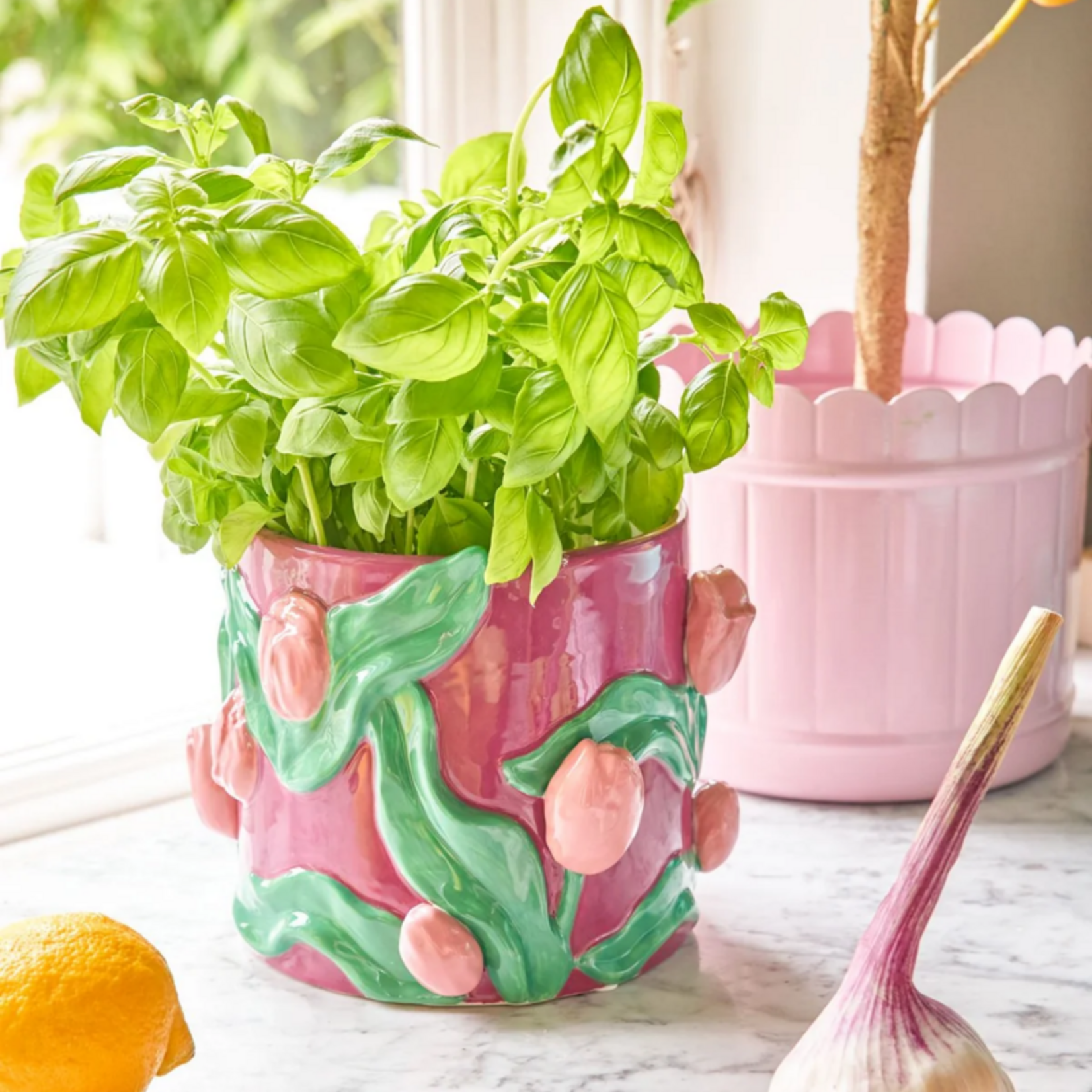 Pot - Tulpen - paars