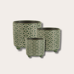 Pot - Florien - Bloem - groen