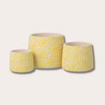 Pot - Belle - Bloemen - geel