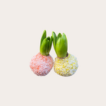 Hyacint set van 2 - pastel geel/oranje