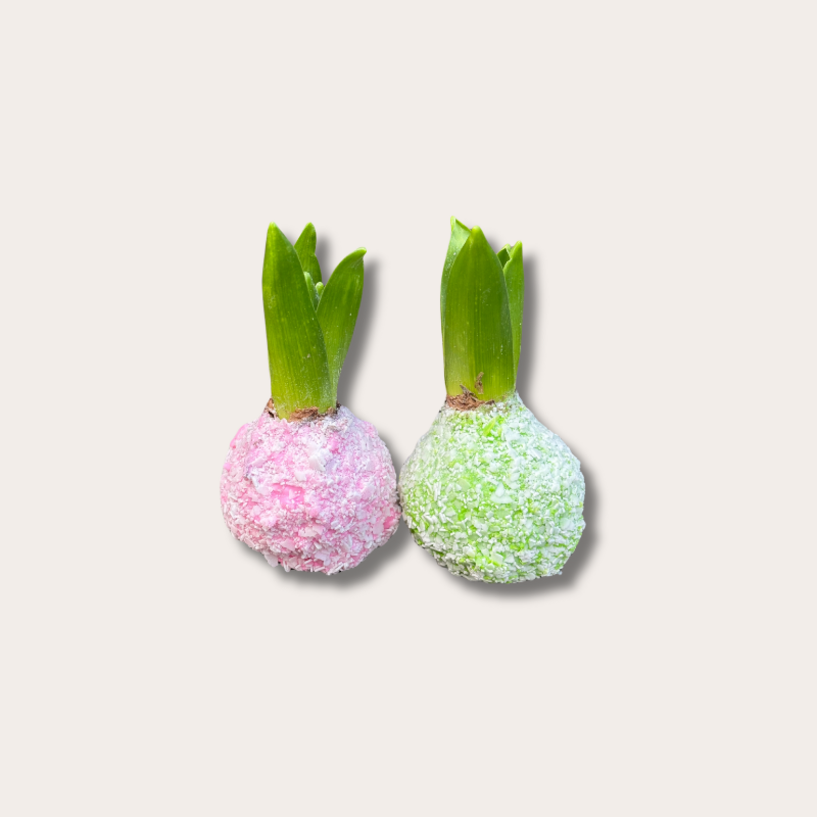 Hyacint set van 2 - pastel groen/roze