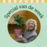 Groene Vingers Special van de week