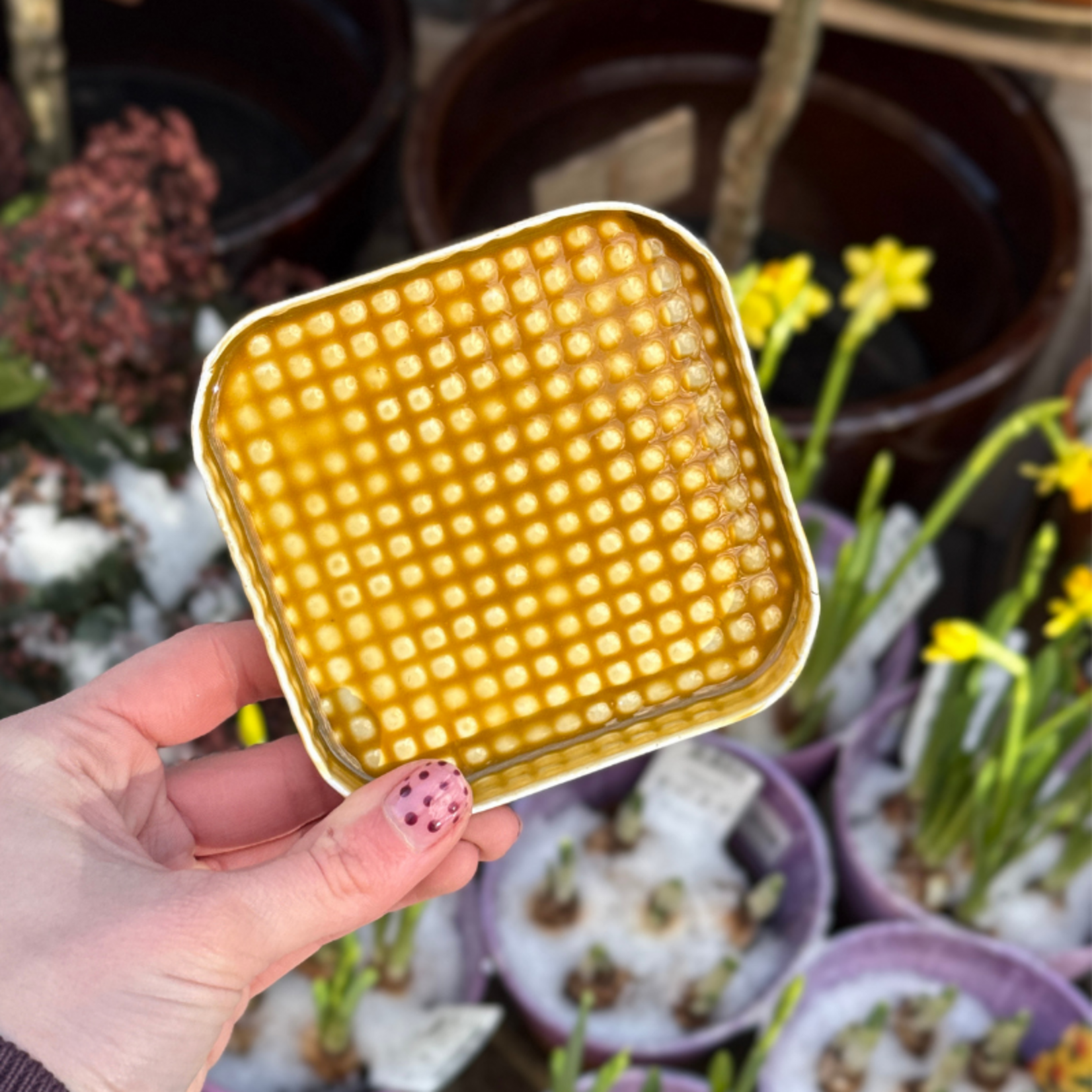 Dienblad - Oslo - mosterd