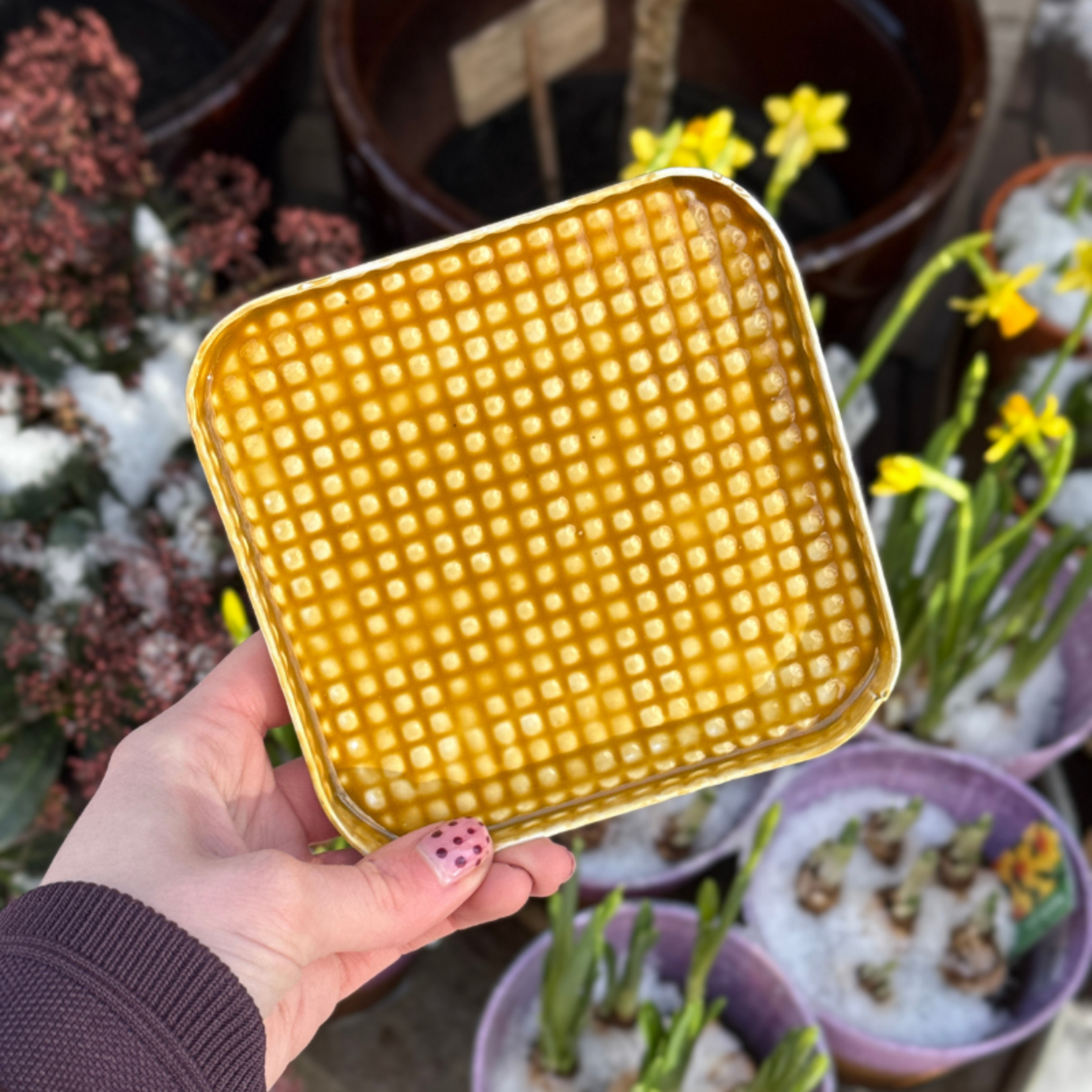 Dienblad - Oslo - mosterd