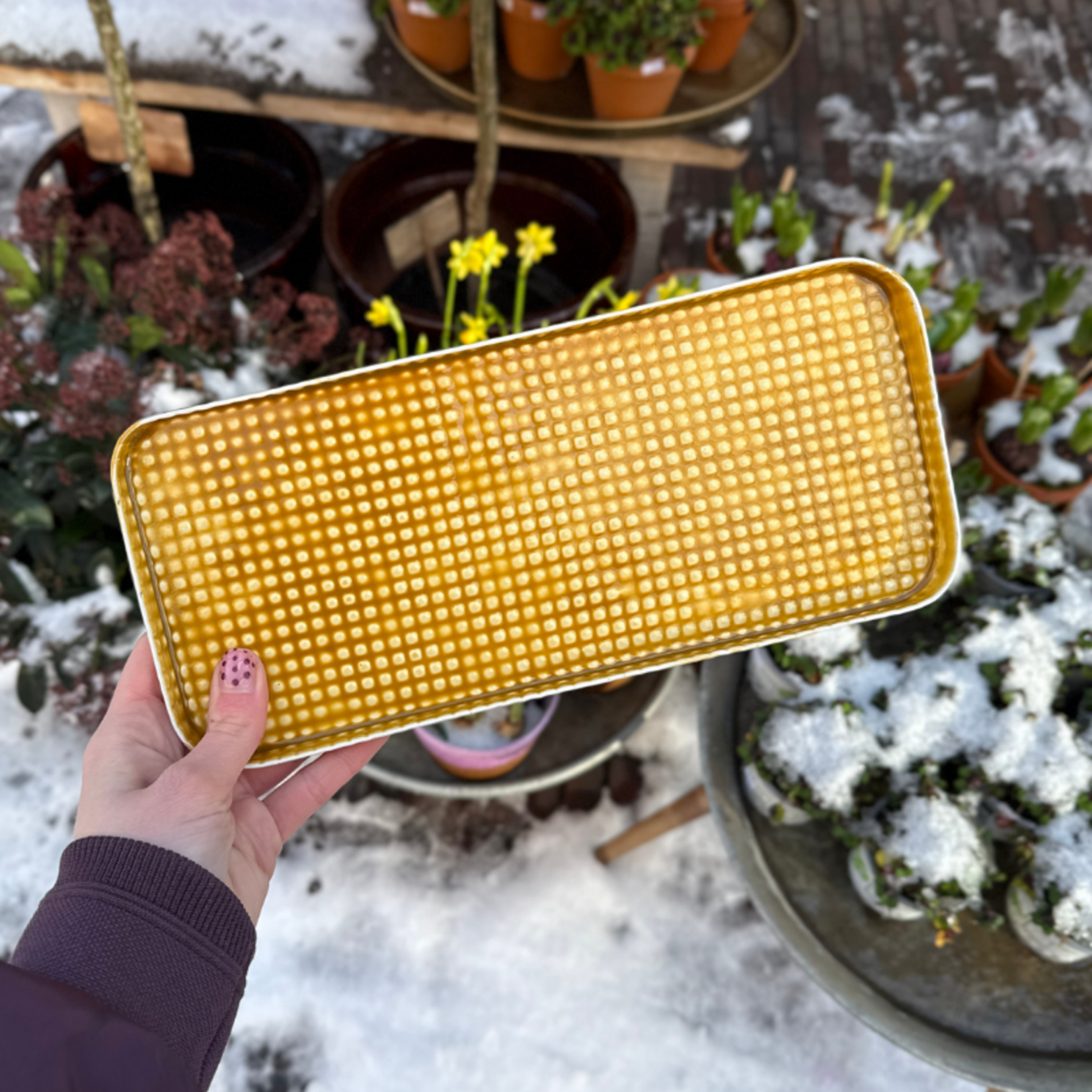 Dienblad - Oslo - mosterd