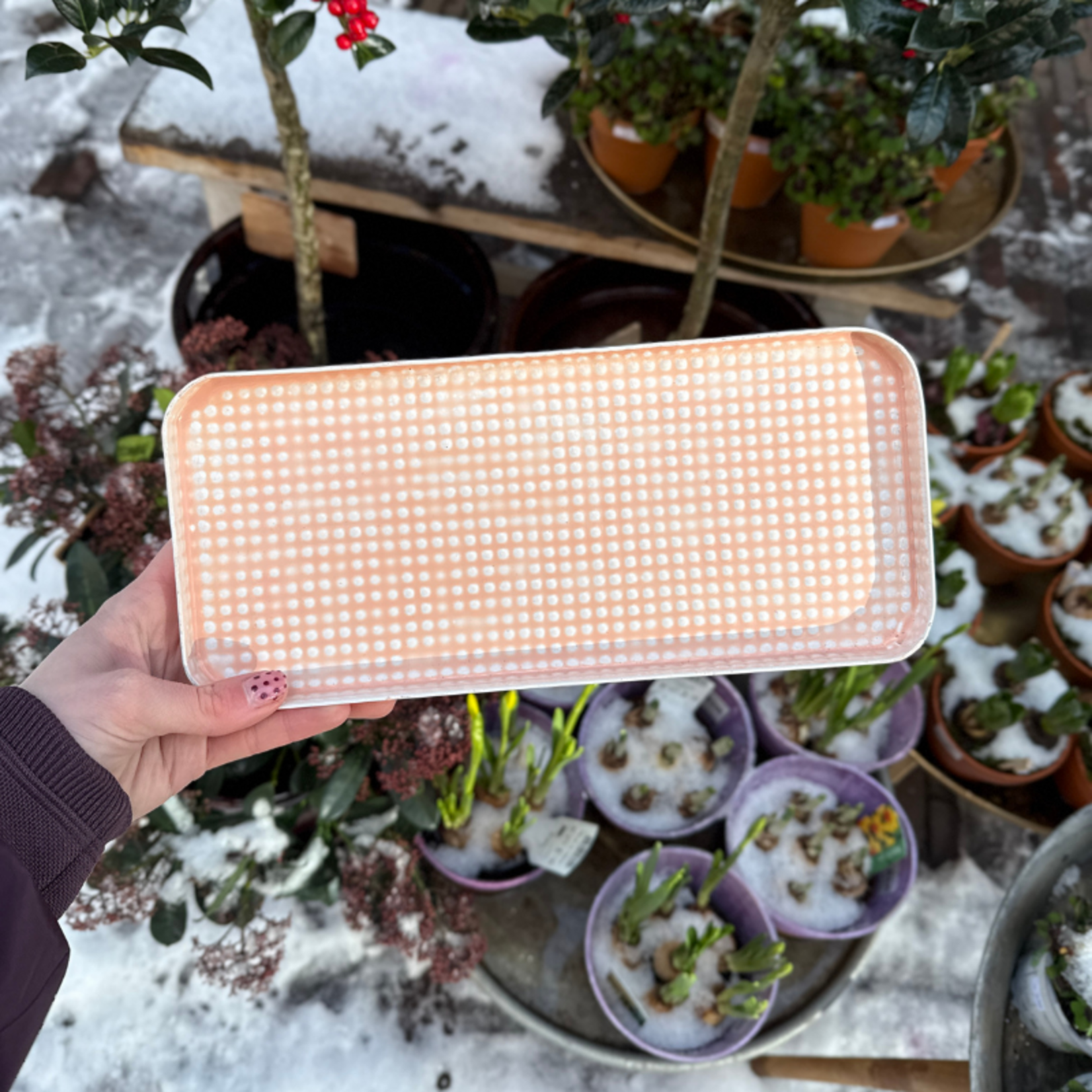 Dienblad - Oslo - licht roze