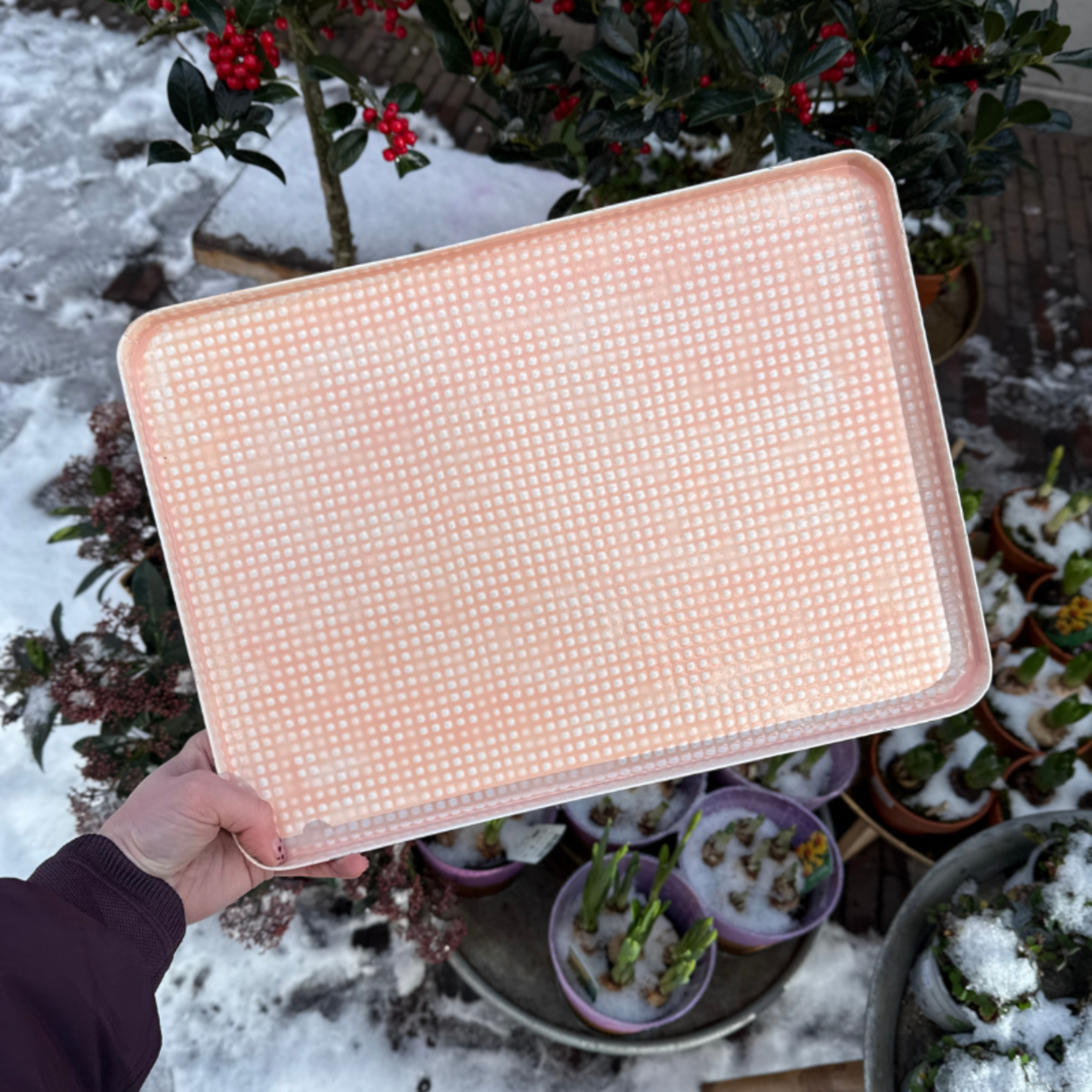 Dienblad - Oslo - licht roze