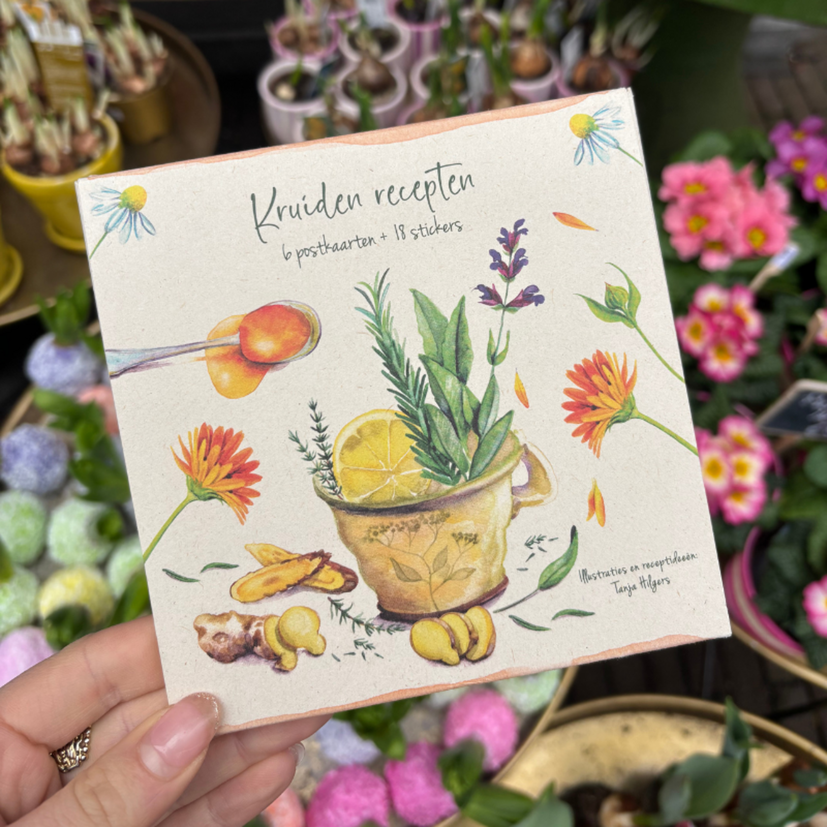 Receptenboekje Kruiden
