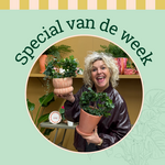 Groene Vingers Special van de week