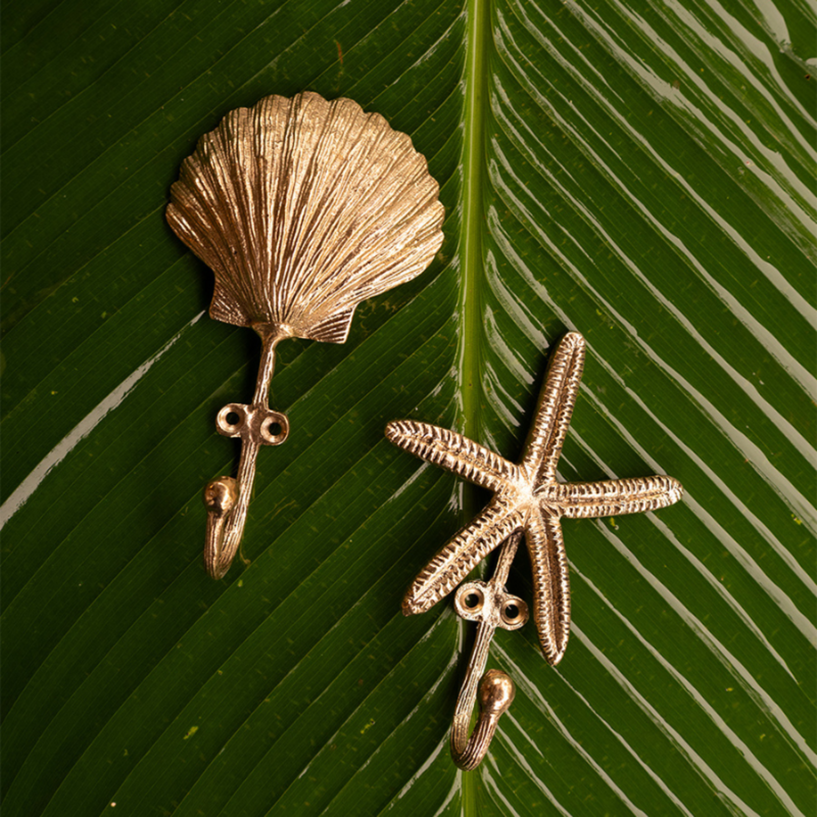 Doing Goods Doing Goods - Scarlett Shell - Haak