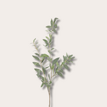 Zijden bloem - Olijf Spray