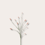 Zijden bloem - Burnet Spray - Fuchsia