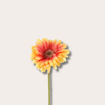 Zijden bloem - Gerbera Daisy Stem