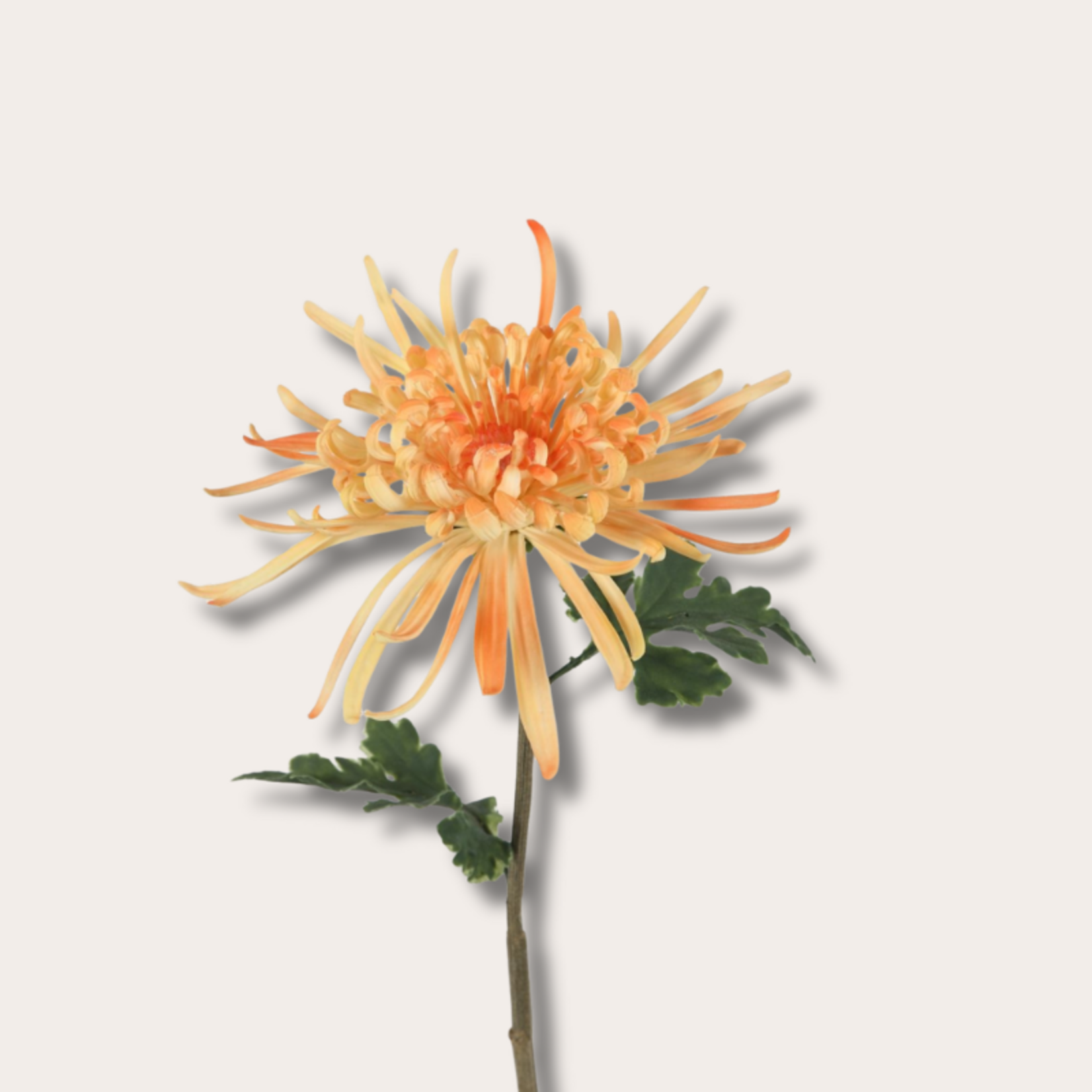 Zijden bloem - Chrysant - Geel/oranje