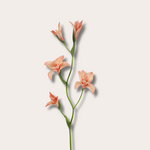 Zijden bloem - Gladiool Spray - Zalmroze