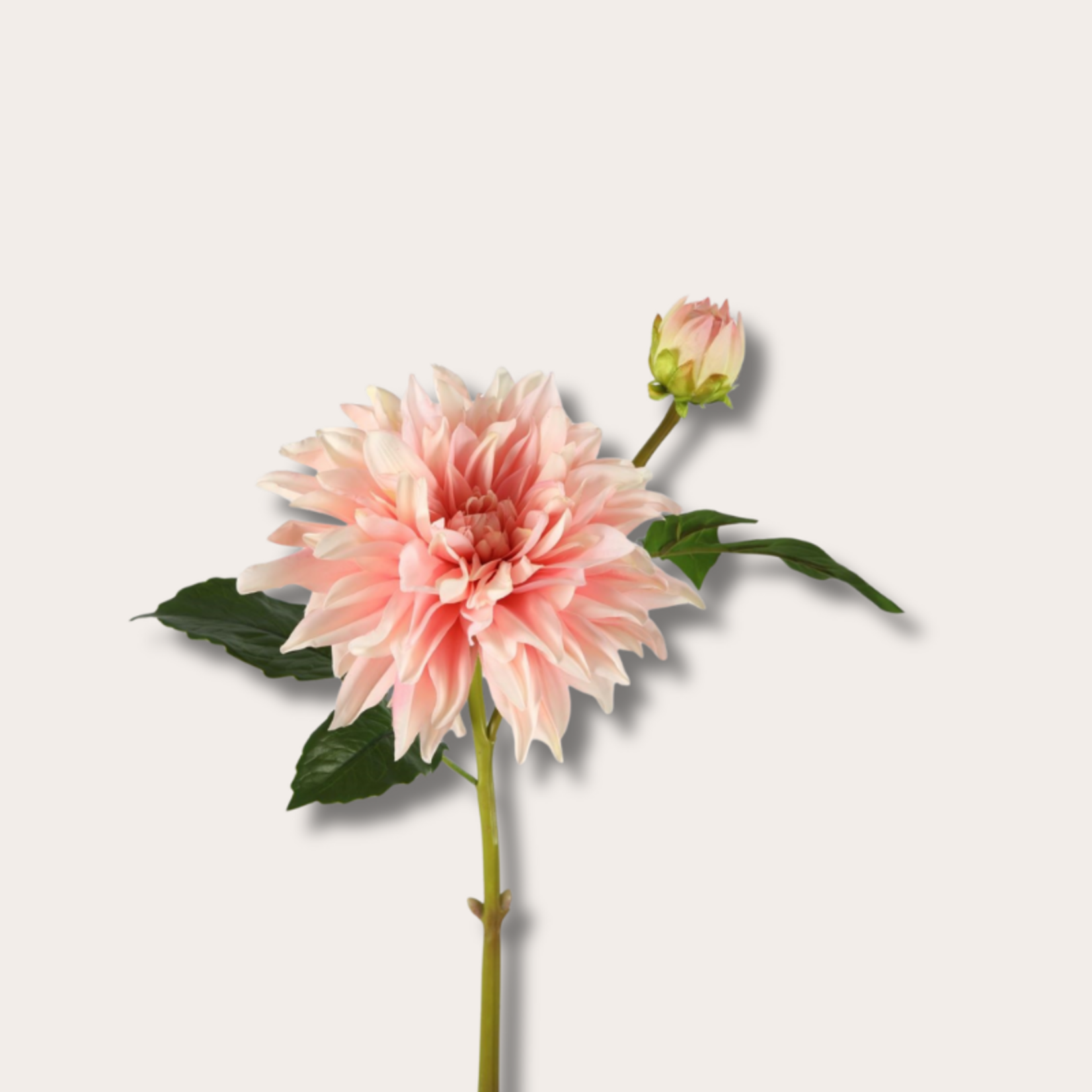 Zijden bloem - Dahlia Spray - Licht roze