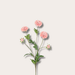 Zijden bloem - Pompon Chrysant - Licht roze