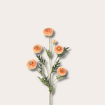 Zijden bloem - Pompon Chrysant - Oranje