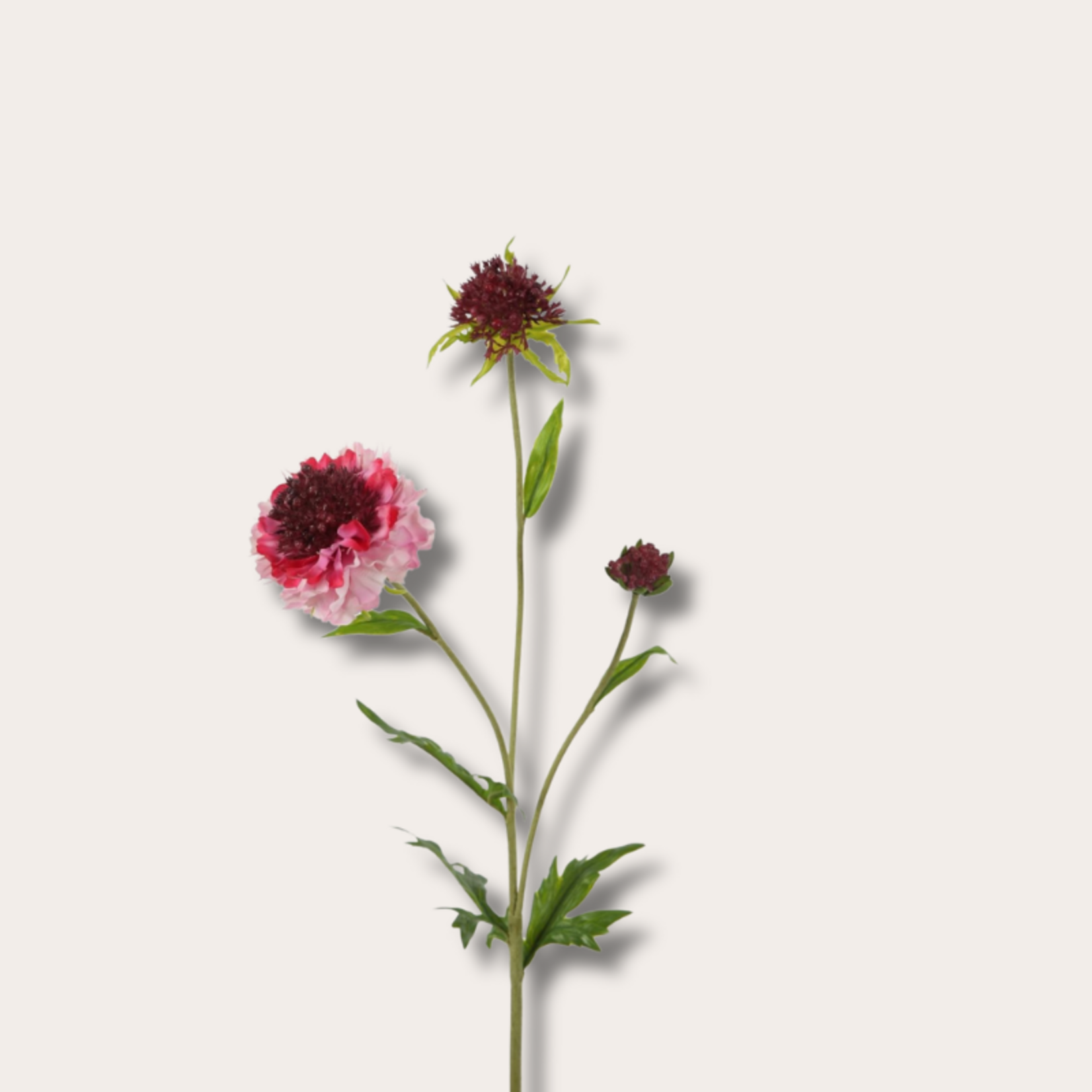 Zijden bloem - Scabiosa Spray - Roze