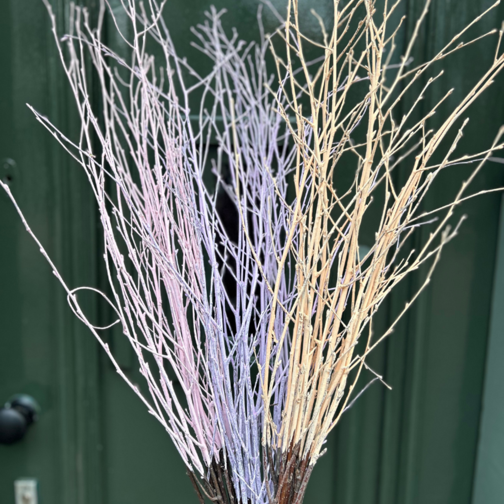 Bosje gedroogde berkentakken - Lila