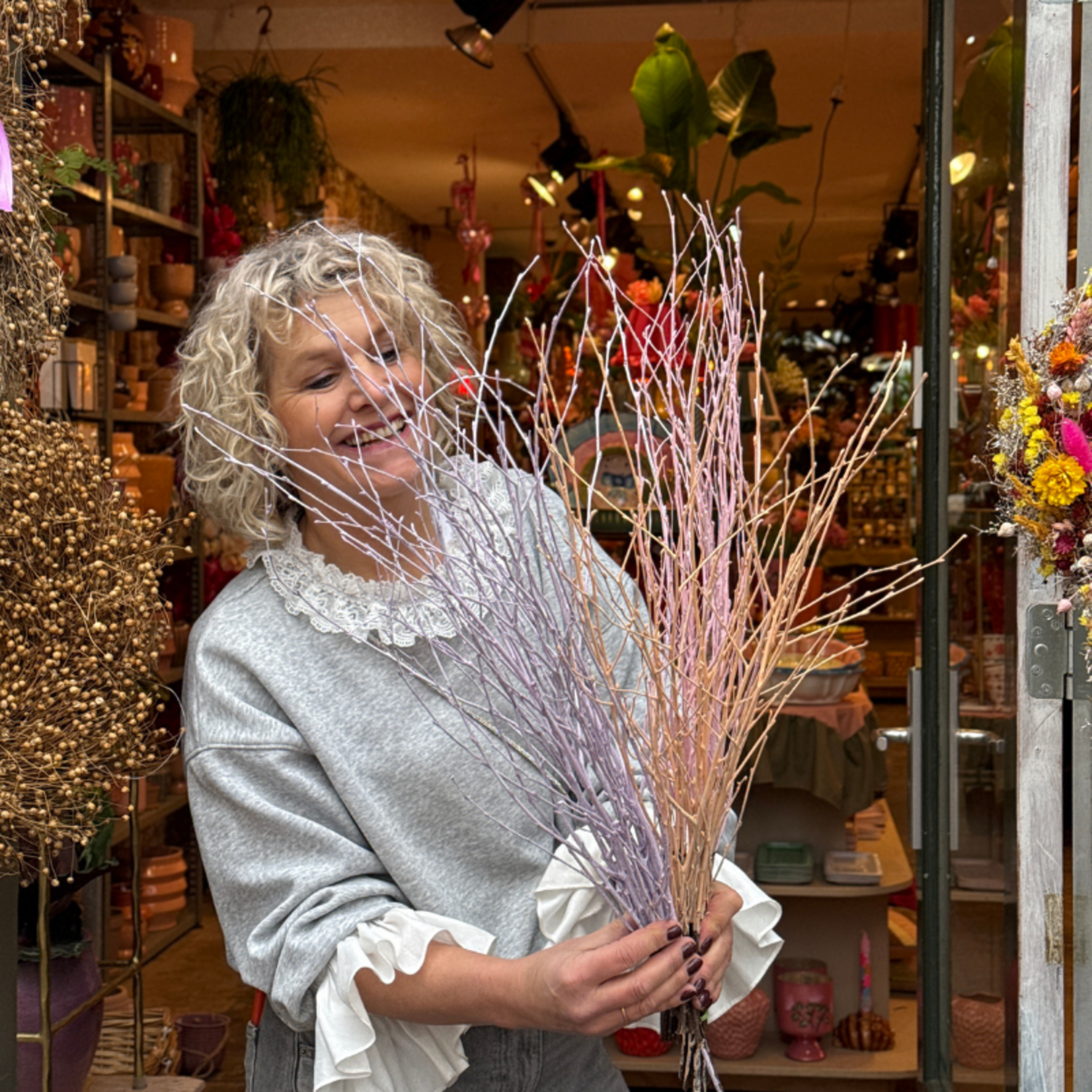 Bosje gedroogde berkentakken - Lila