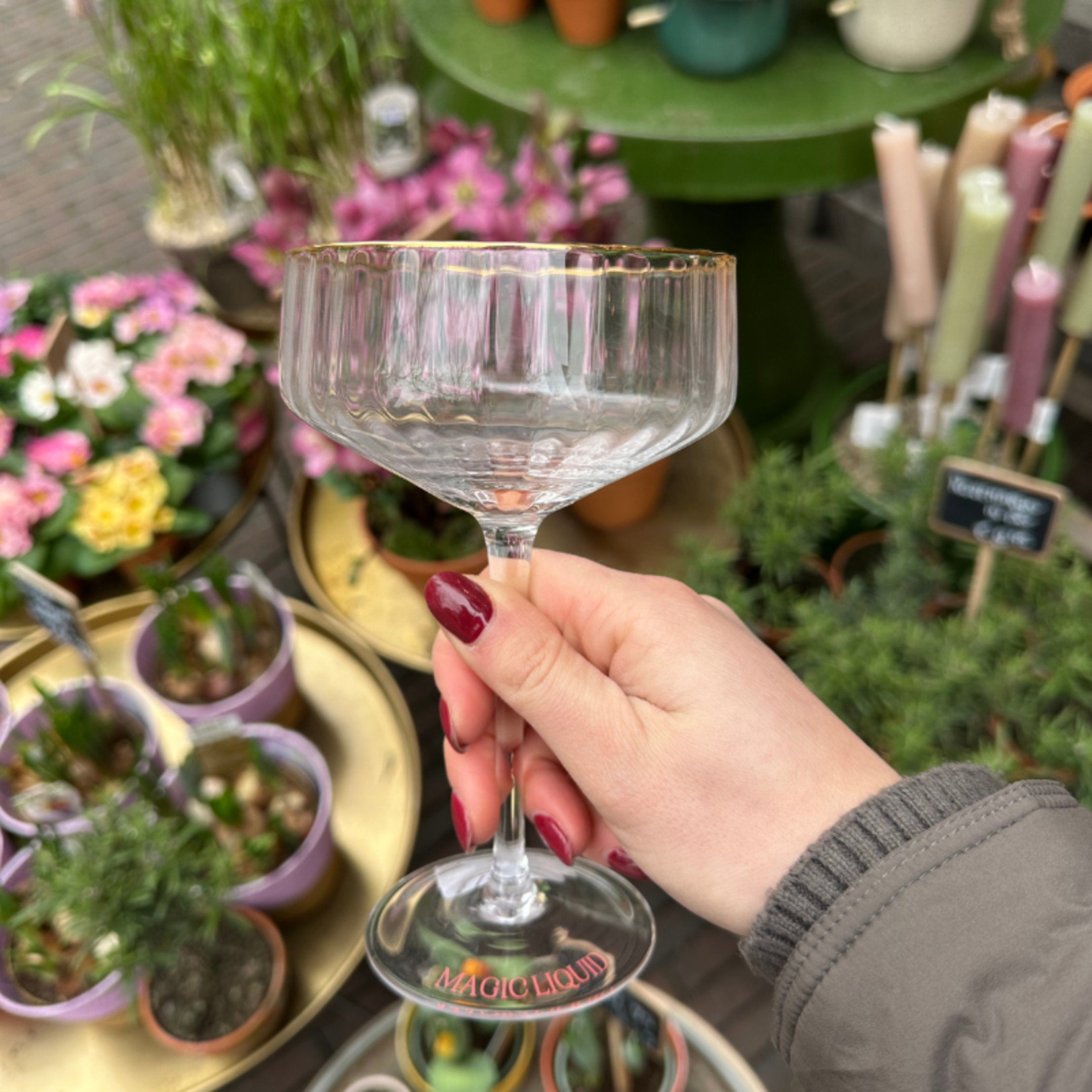 Vondels Cocktail Coupe - Magic Liquid