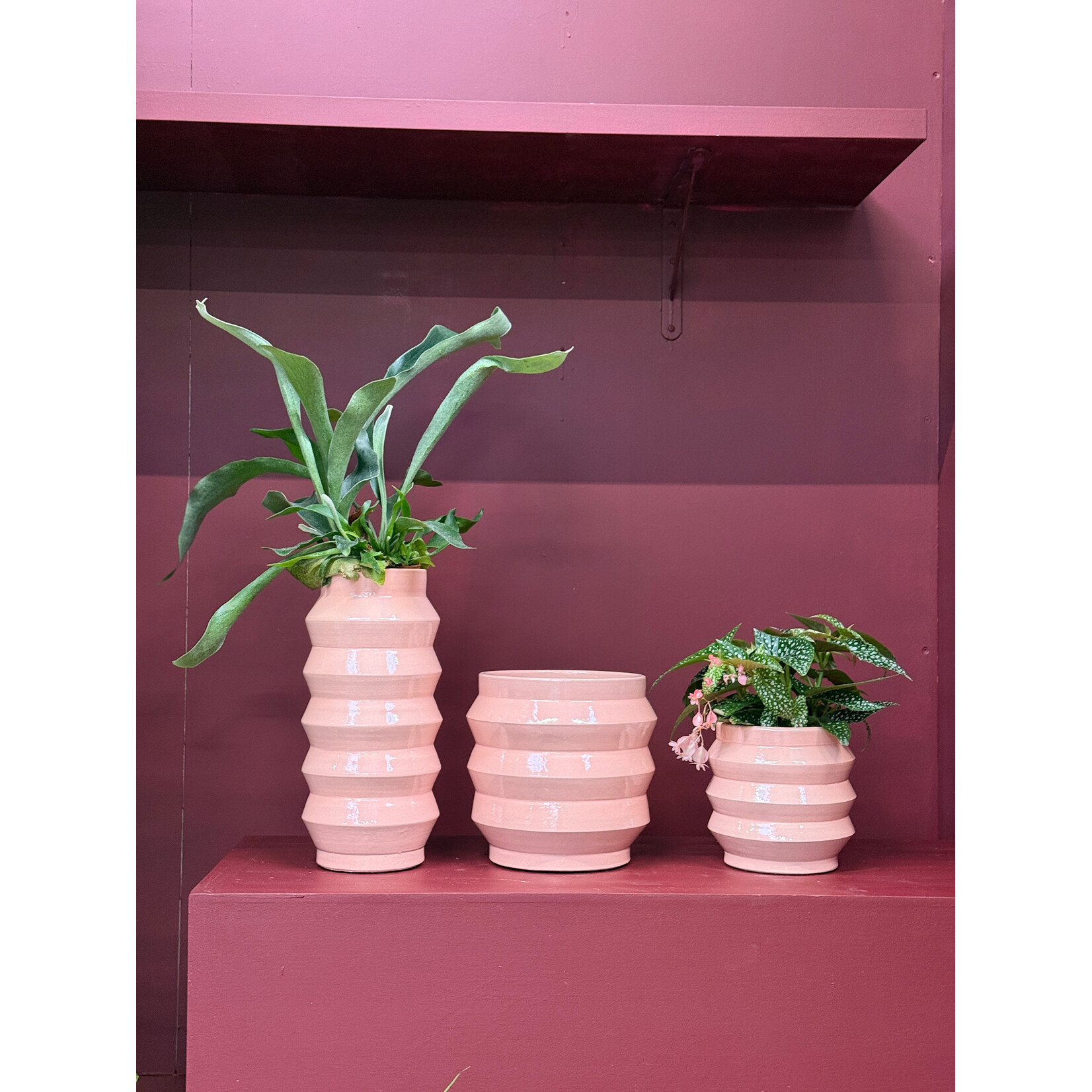 Pot - Bloomvibe - Lichtroze