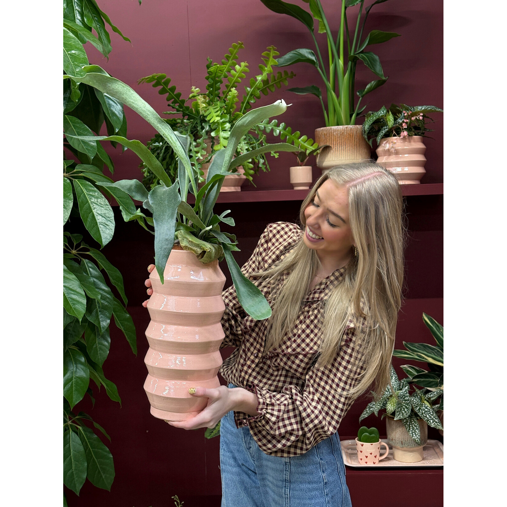 Vaas - Bloomvibe - Lichtroze