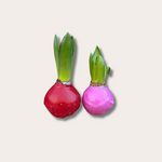 Hyacint set van 2 - roze/rood