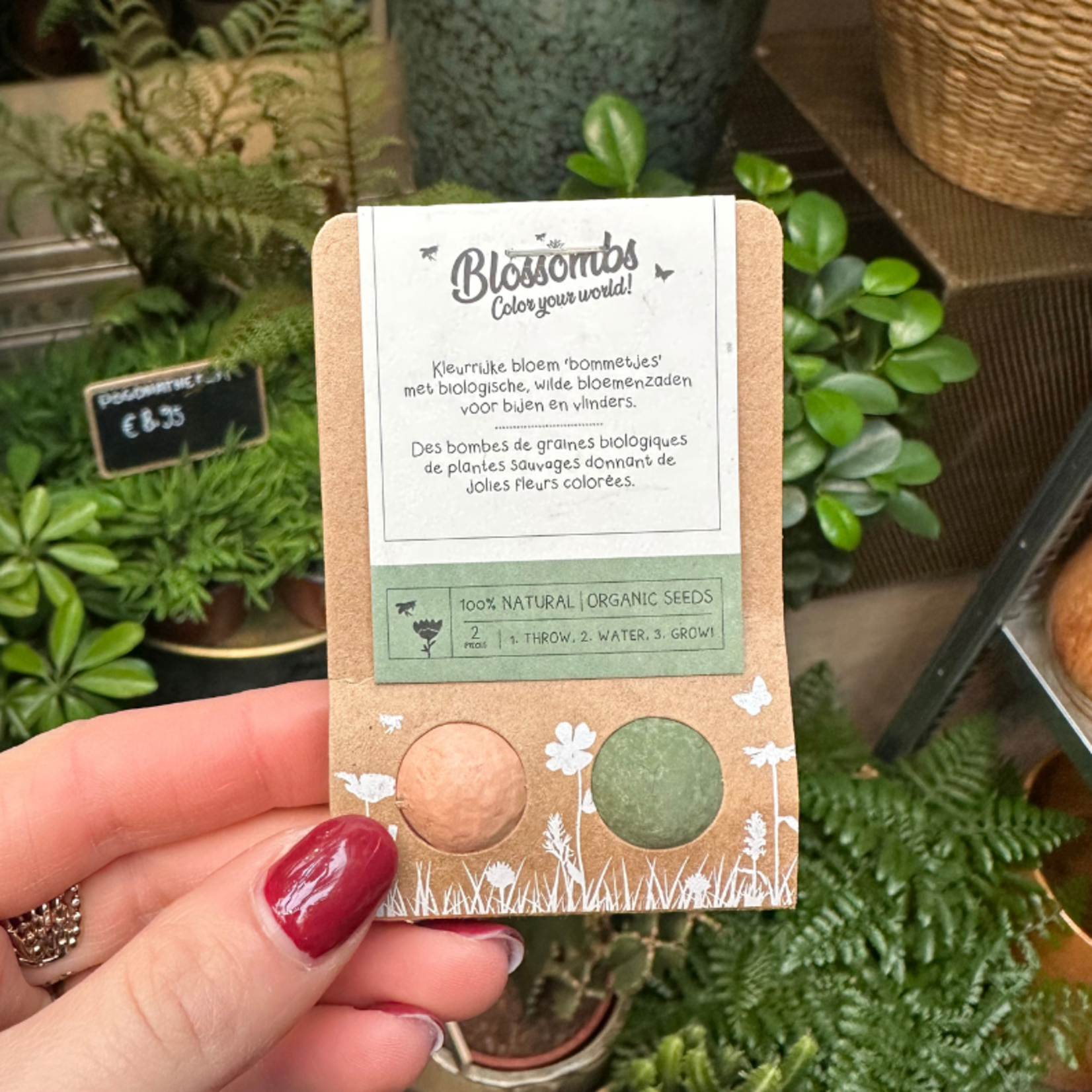 Zaadbommen 2 stuks - Kleur