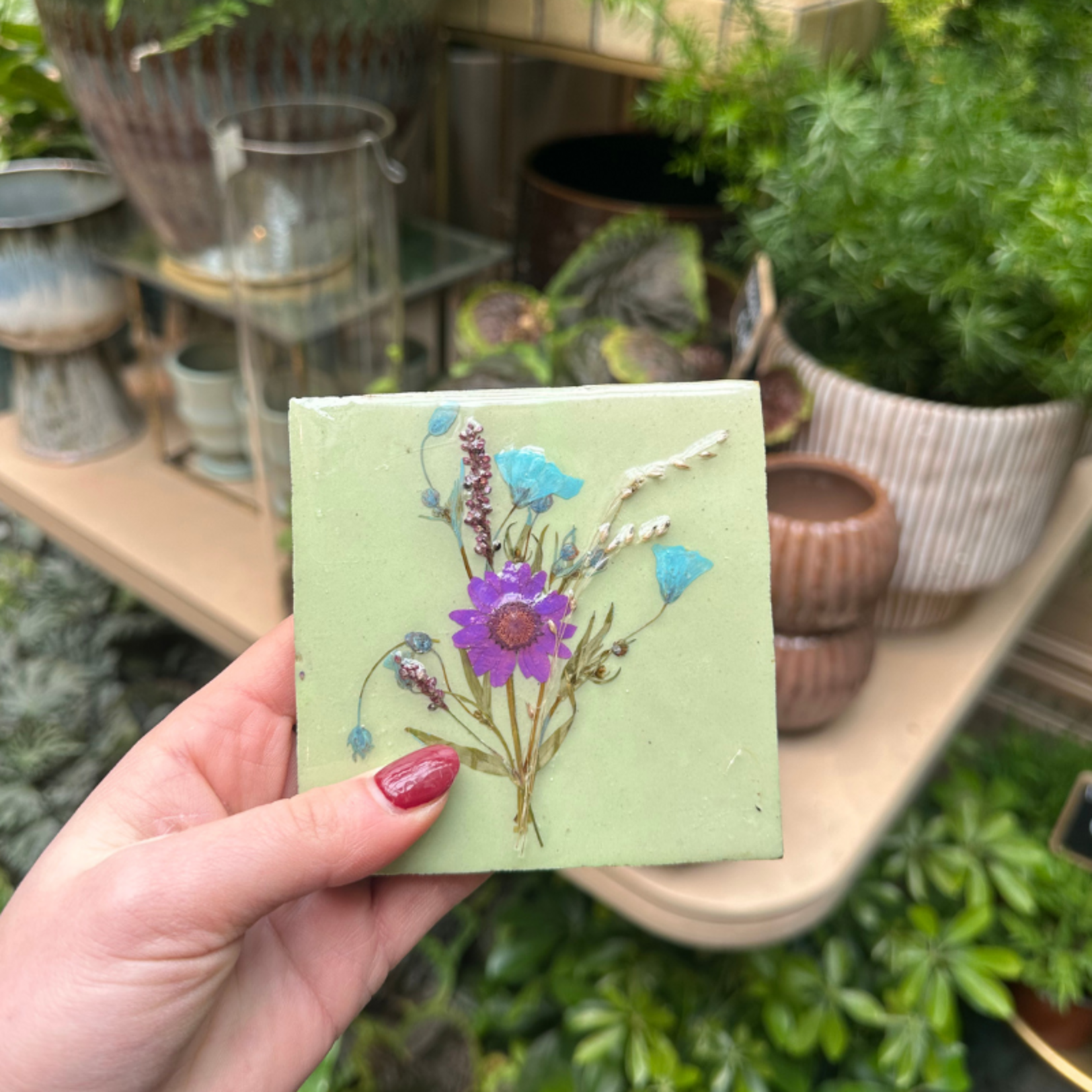 Droogbloemen tegel - mint - paars/blauwe bloem