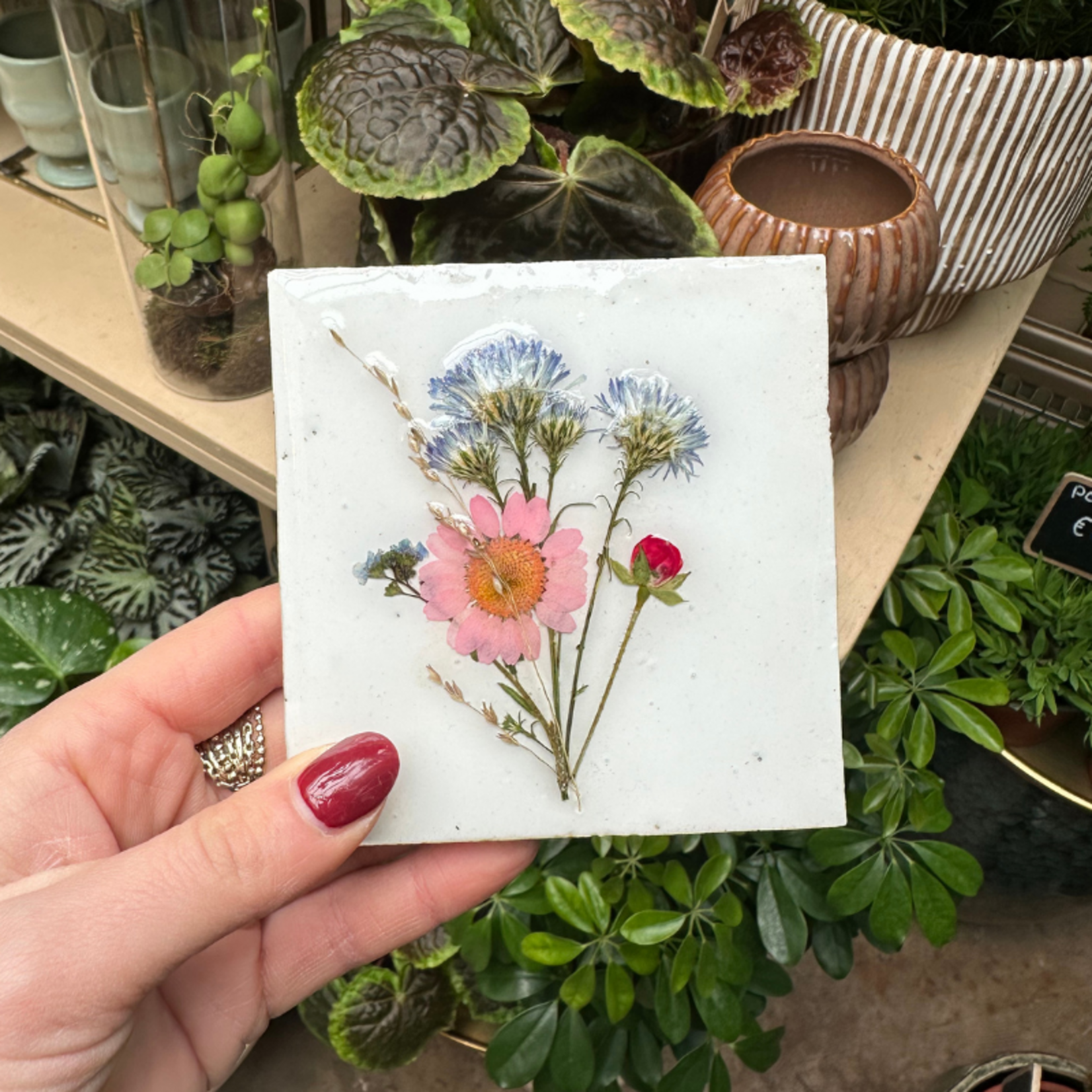 Droogbloemen tegel - wit - roze bloem