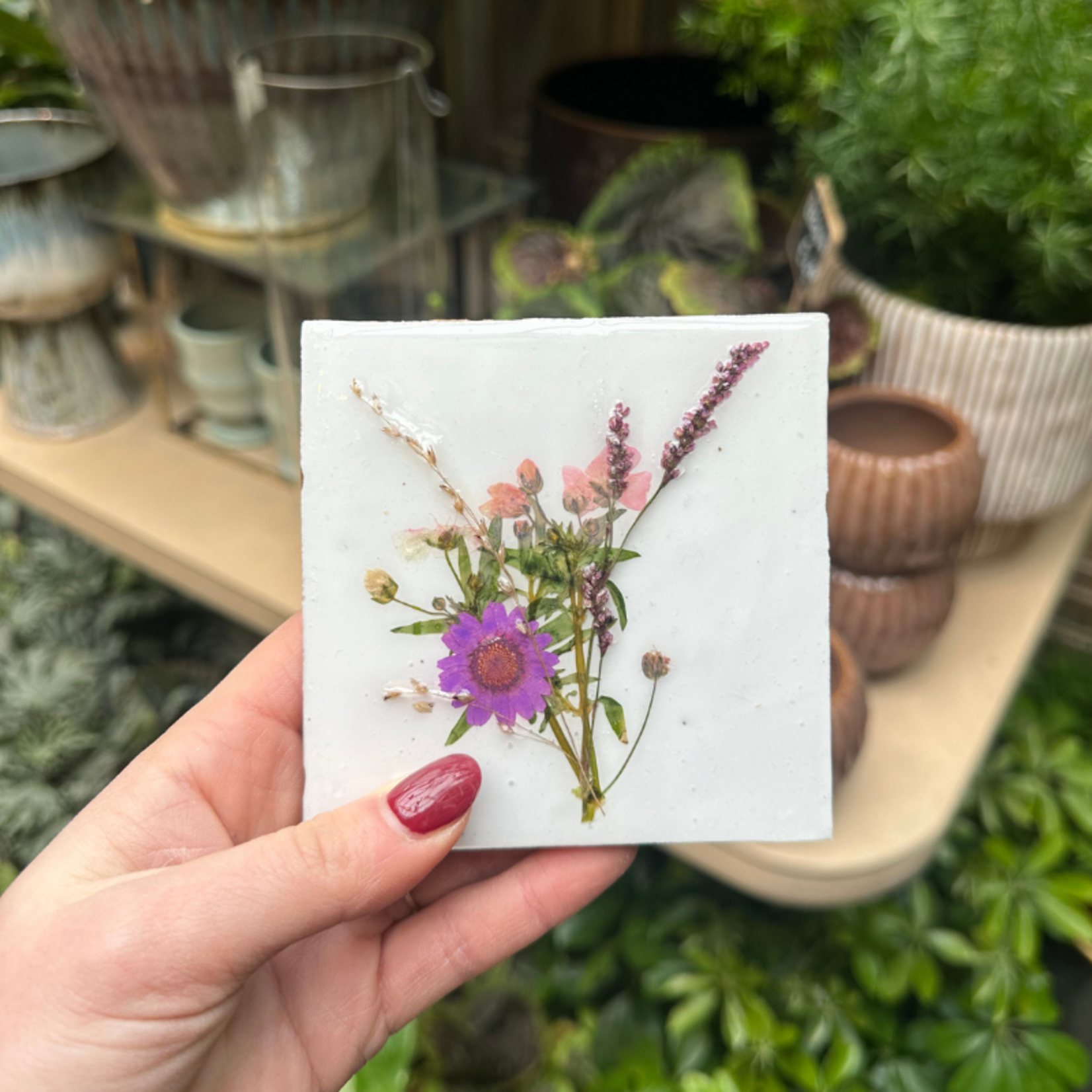 Droogbloemen tegel - wit - paarse bloem