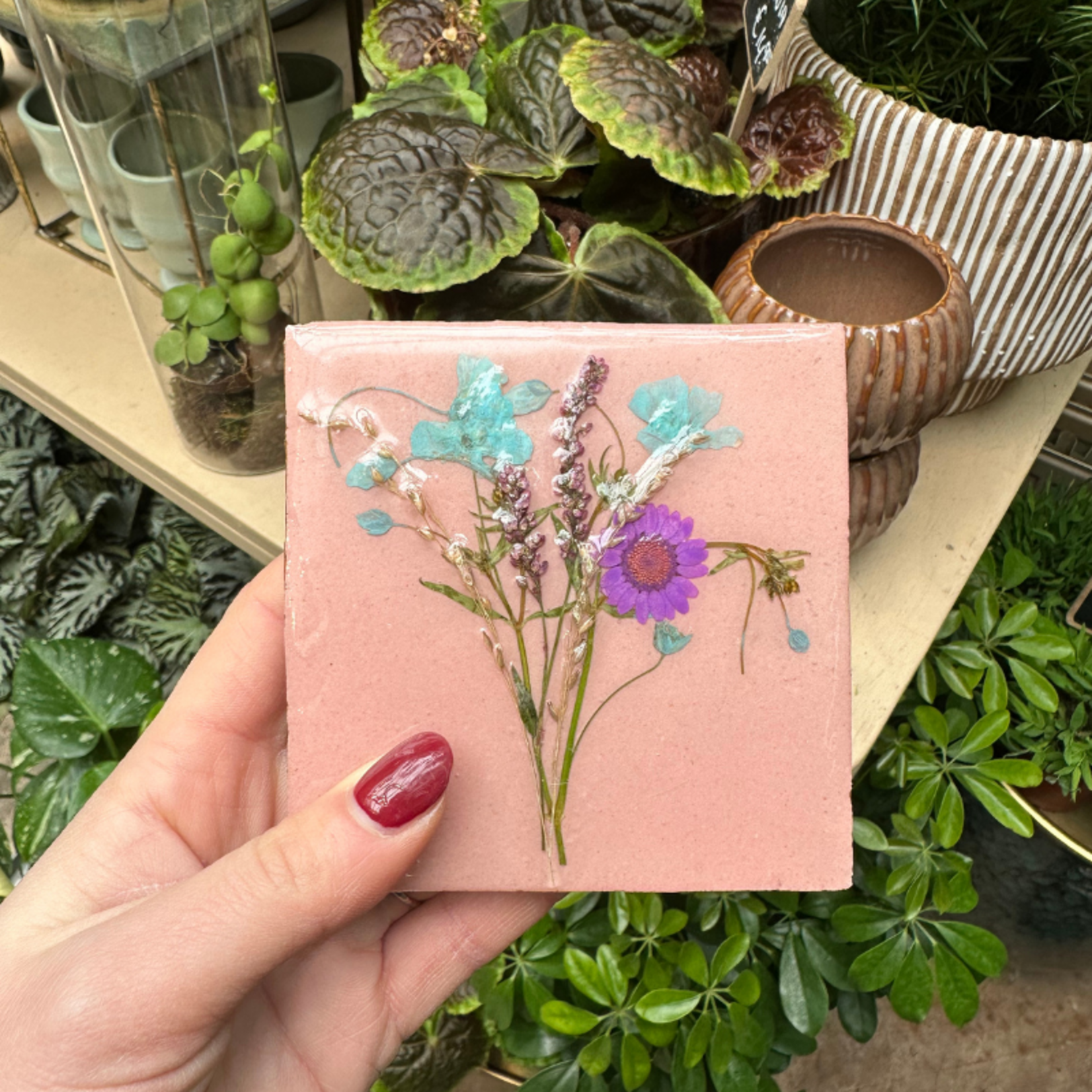 Droogbloemen tegel - oudroze - paarse bloem