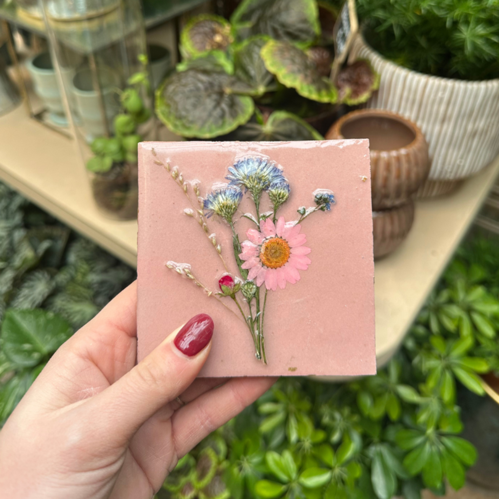 Droogbloemen tegel - oudroze - roze bloem