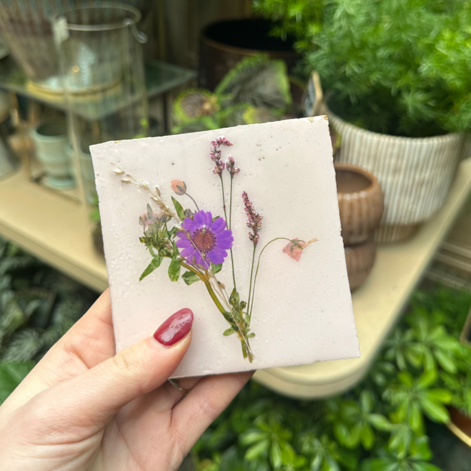 Droogbloemen tegel - lichtroze - paarse bloem