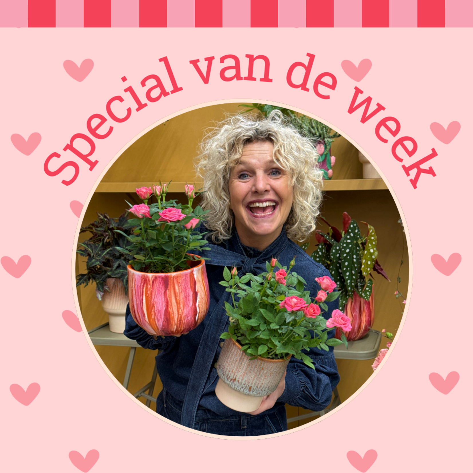 Groene Vingers Special van de week