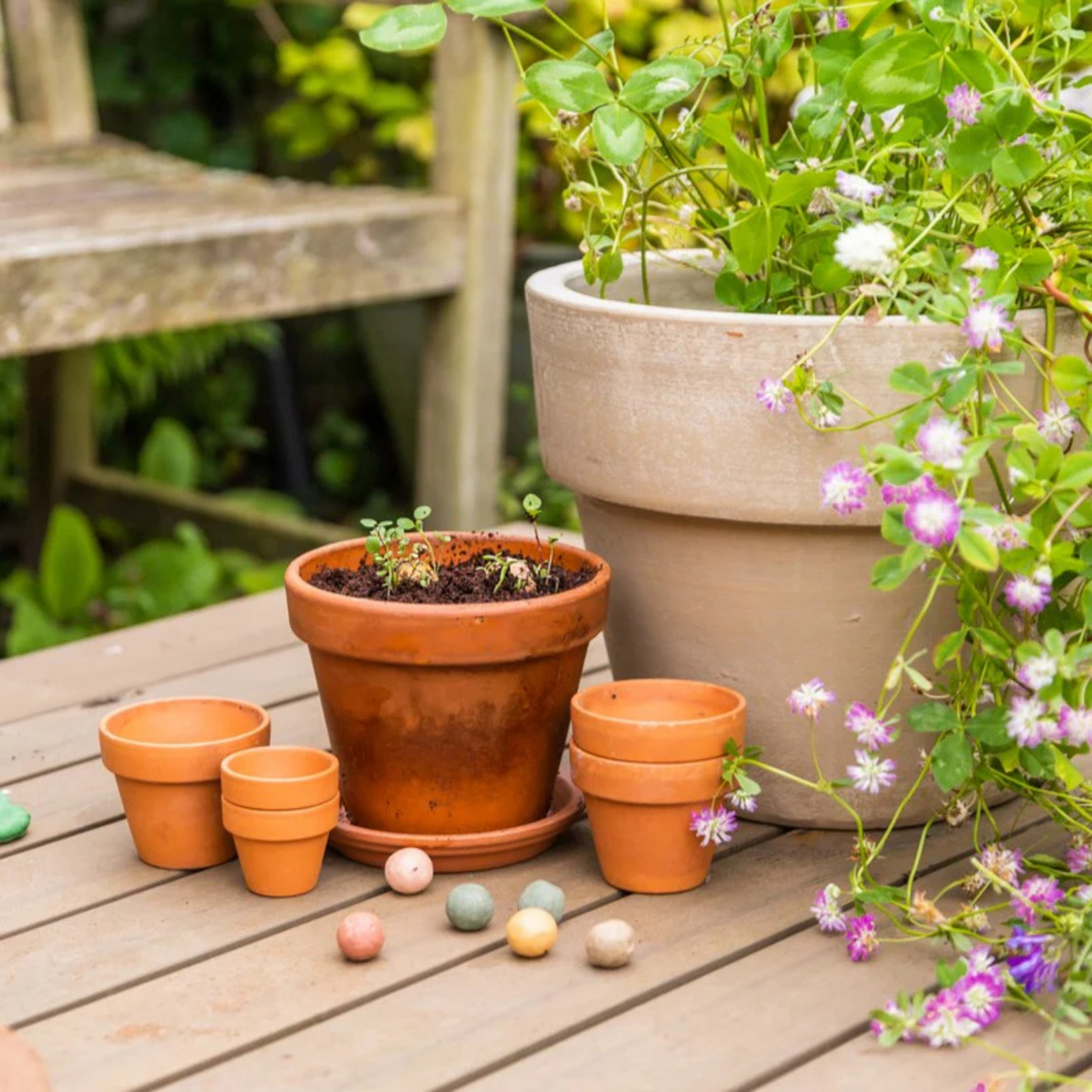 Zaadbommetjes - zakje - 25 stuks