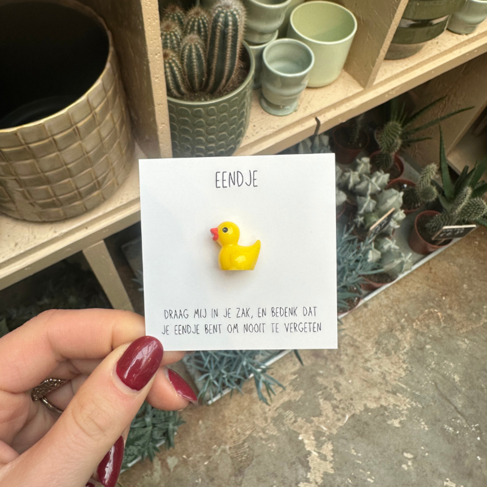 Cadeau kaartje - Eendje