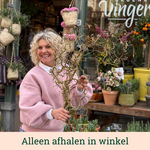 Kronkelhazelaar bos - 5 takken - (120 cm)