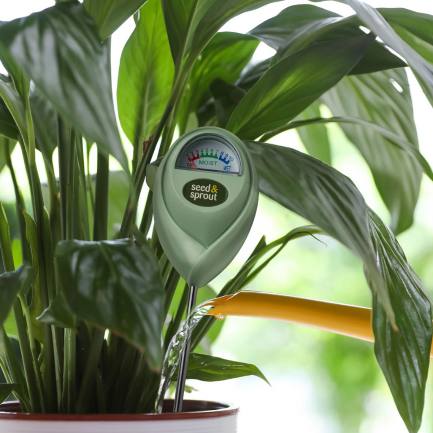 Vochtigheidsmeter voor Potplanten - Blauw