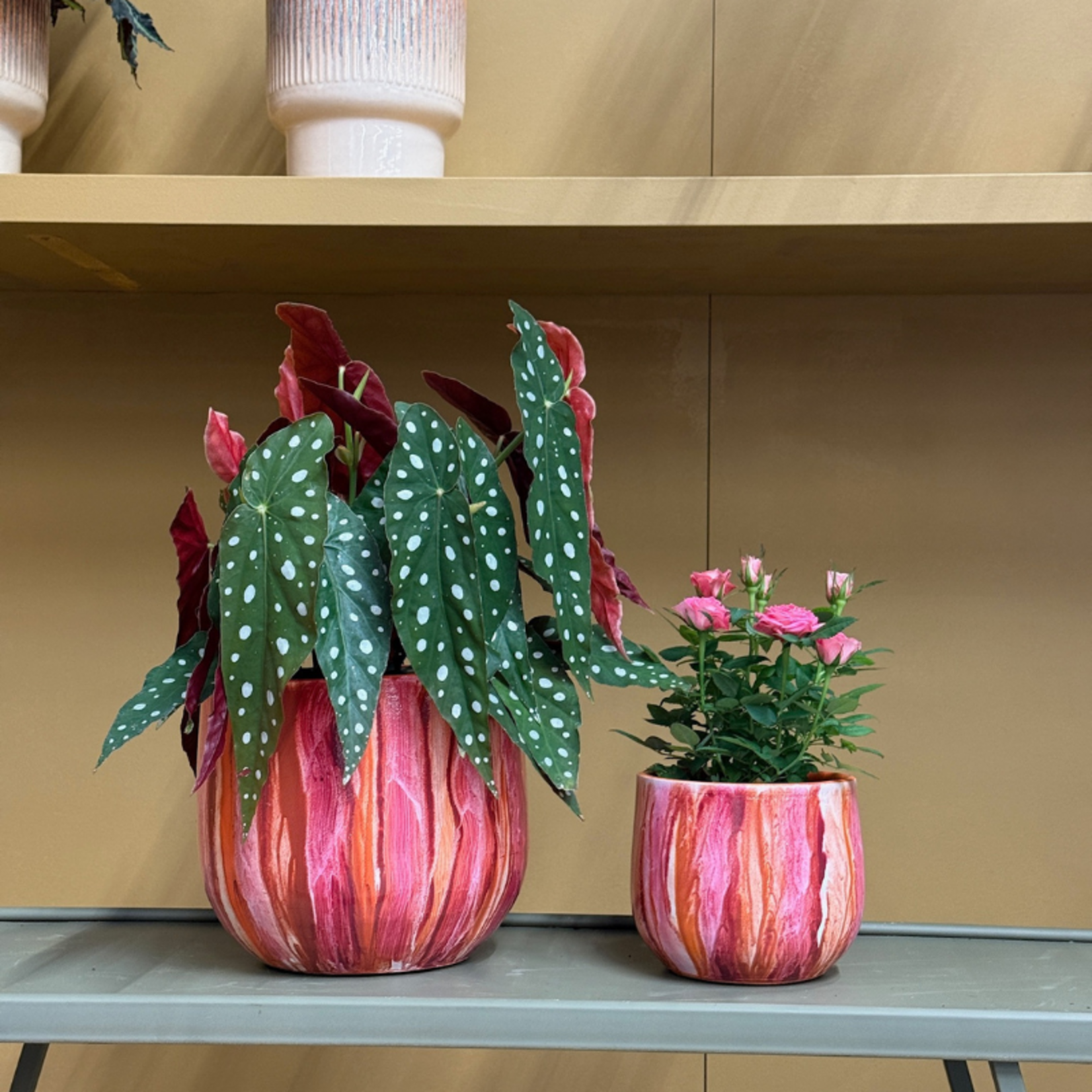 Pot - Pascalle - rood