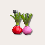 Hyacint set van 2 - roze/rood