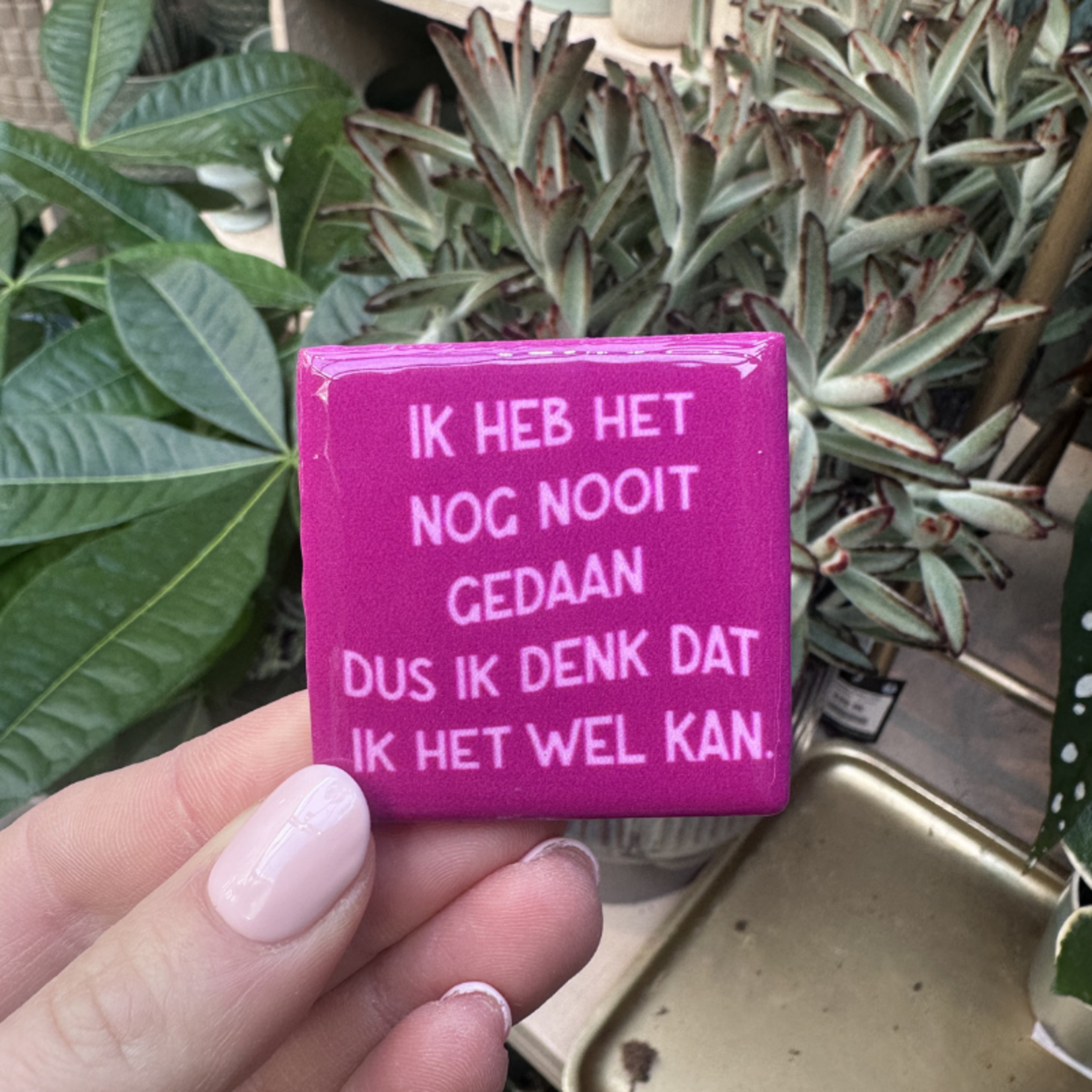 Magneettegeltje - Ik heb het nog nooit gedaan