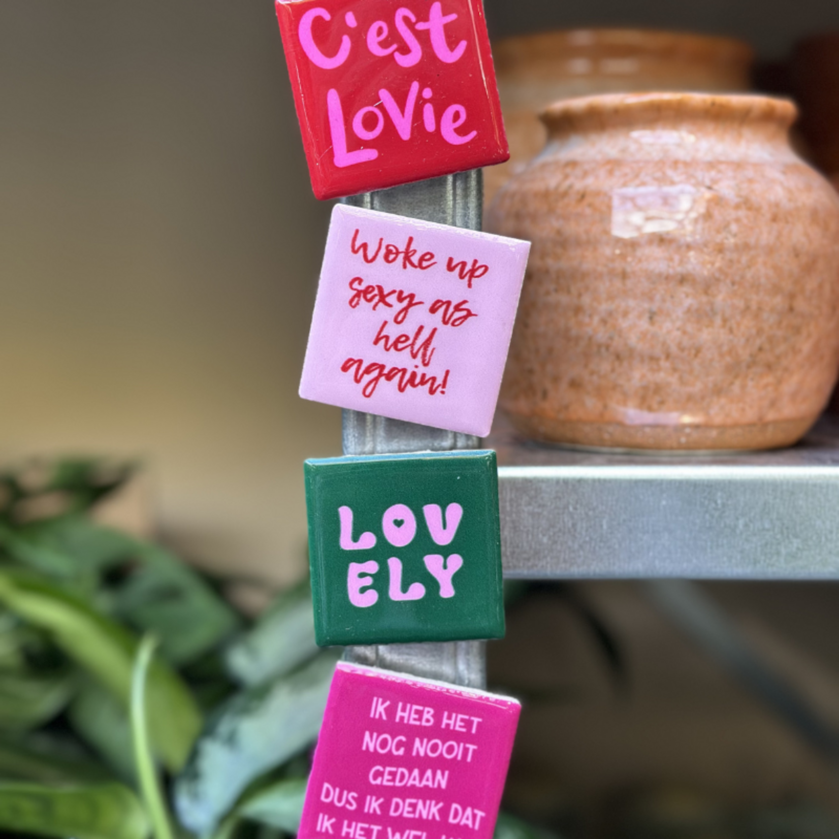 Magneettegeltje - Ik heb het nog nooit gedaan