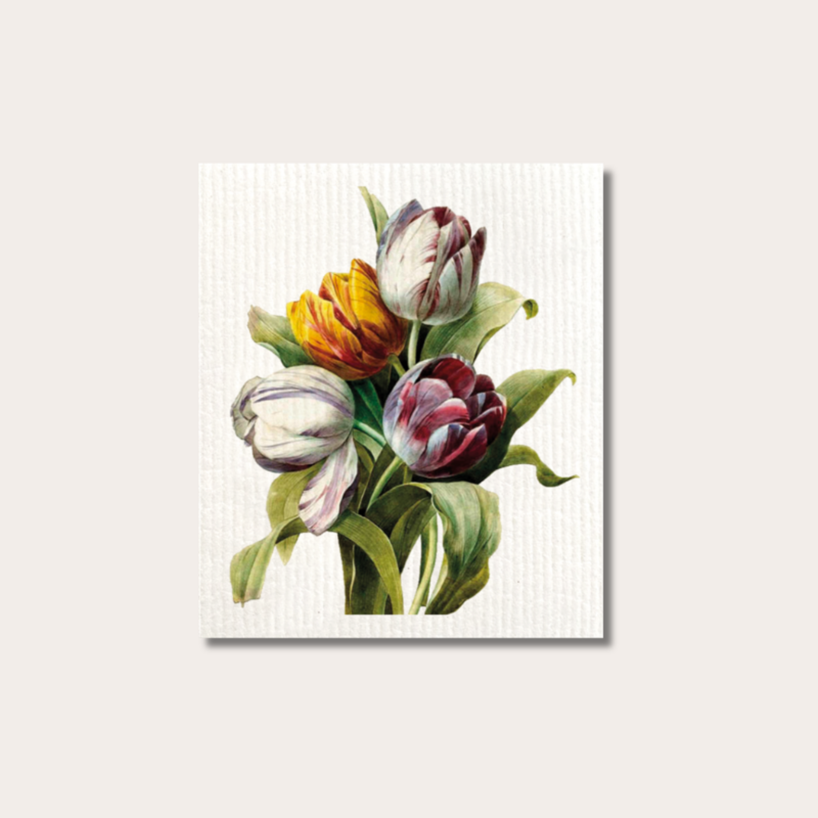 Vaatdoek - Paarse Tulp