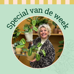 Groene Vingers Special van de week