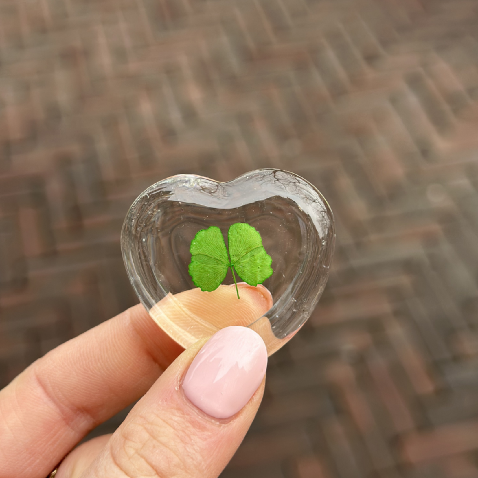 Hart - Klavertjevier