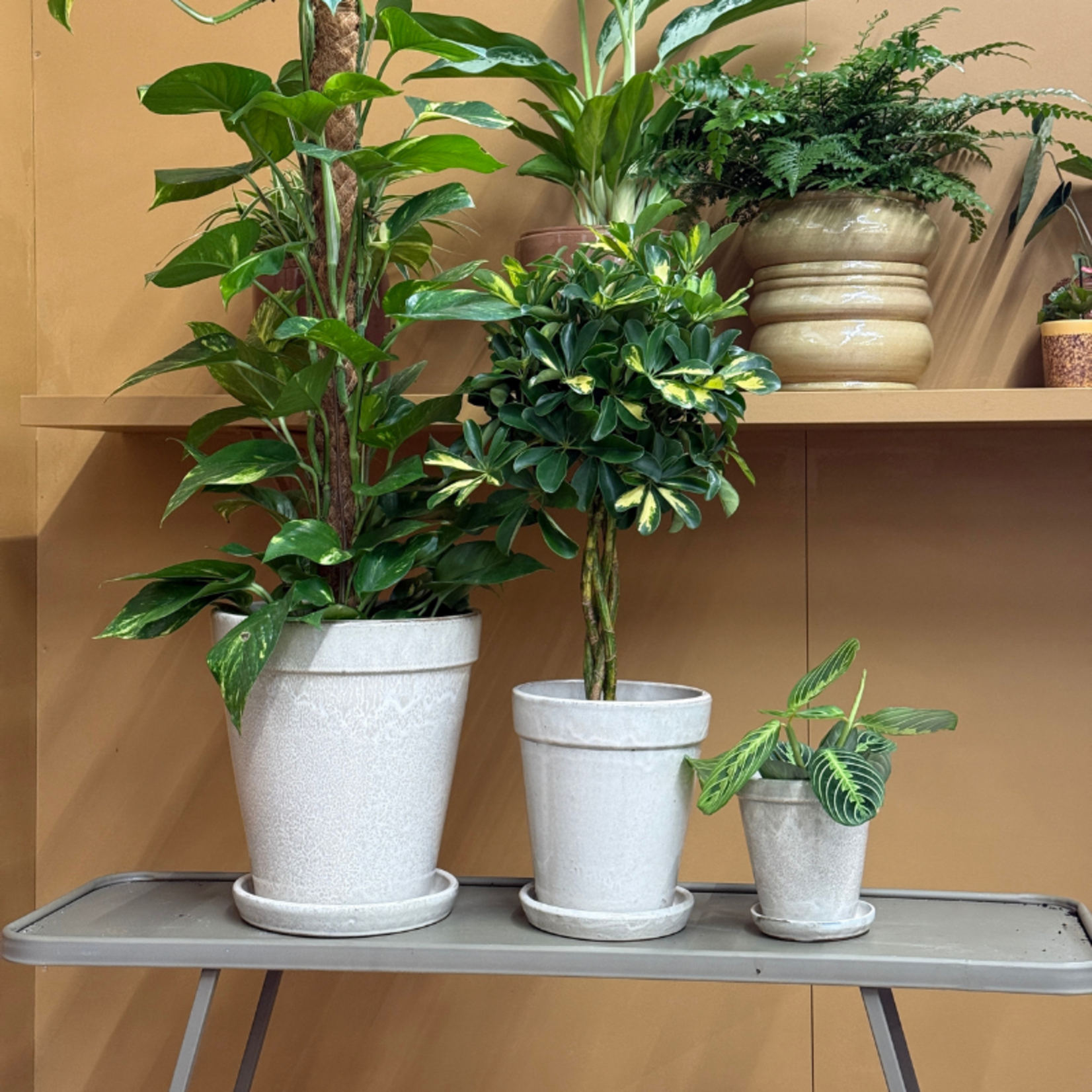 Geglazuurde pot met schotel - Abby - beige